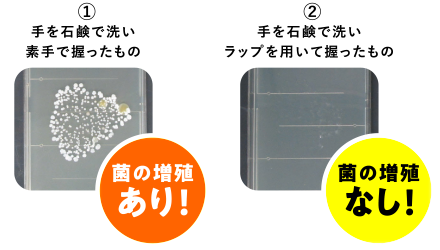 ①手を石鹸で洗い素手で握ったもの：菌の増殖あり！ ②手を石鹸で洗いラップを用いて握ったもの：菌の増殖なし！