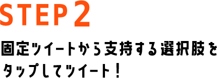 STEP2 固定ツイートから支持する選択肢をタップしてツイート！